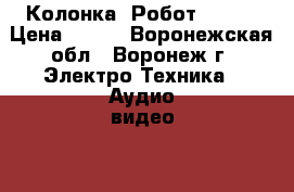 Колонка «Робот» C-89 › Цена ­ 928 - Воронежская обл., Воронеж г. Электро-Техника » Аудио-видео   